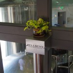 Hellbent-Brewing-Lake-City-Grand-Opening-plant