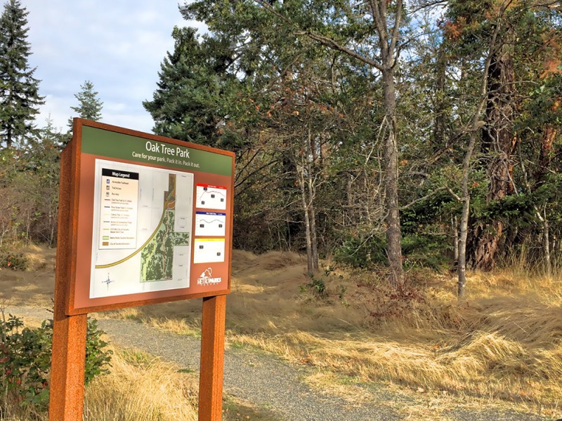 Green-Tacoma-Day-at-Oak-Tree-Park
