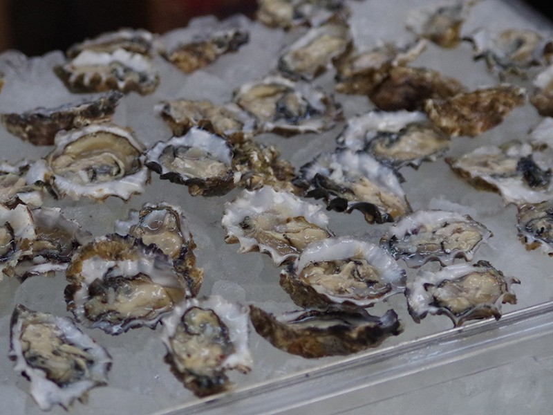 Fish-Brewing-World-Beer-Award-ceremony-oysters