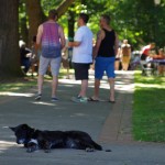 Portland-International-Beerfest-lazy-dog