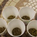 step-by-step-brew-day-at-Top-Rung-Brewing-guessing-hops