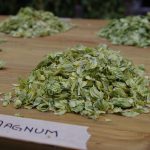 California-Craft-Beer-Summit-Magnum-hops