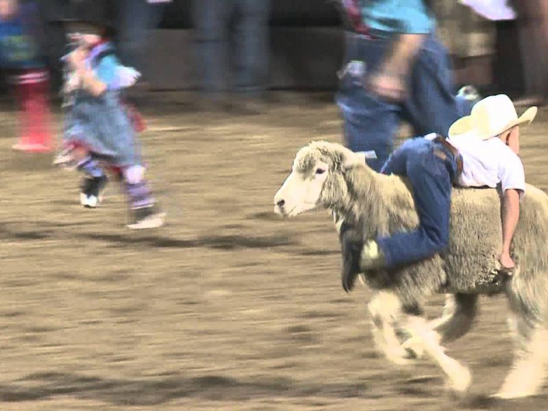 Enumclaw-Pro-rodeo