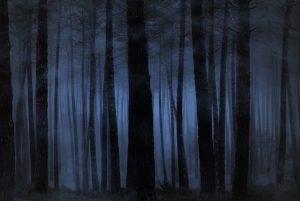 haunted-forest-at-grand-farms
