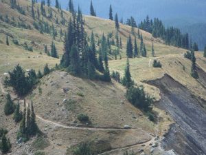 Hiking-Emerald-Ridge-Trail-Mount-Rainier