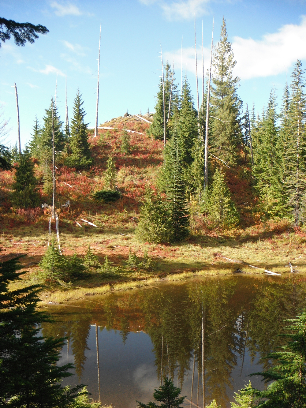 Hiking-Mowich-Lake-to-Dry-Creek-The-Golden-Lakes