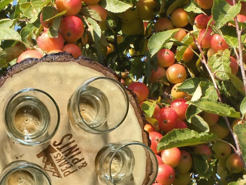 Peaks-and-Pints-Monday-Cider-Flight-9-10-18-A-Flight-of-Washington-Cider-Week