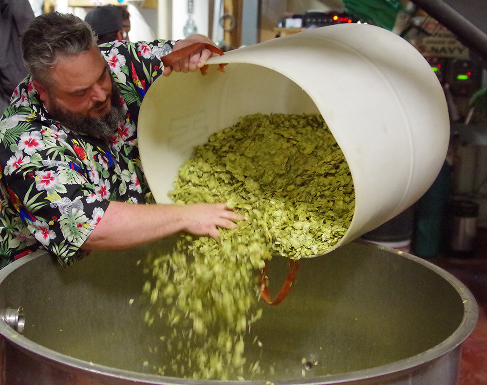 Double-Mountain-Cool-Camp-IPA-hops