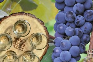 Peaks-and-Pints-Monday-Cider-Flight-1-28-19-Variety