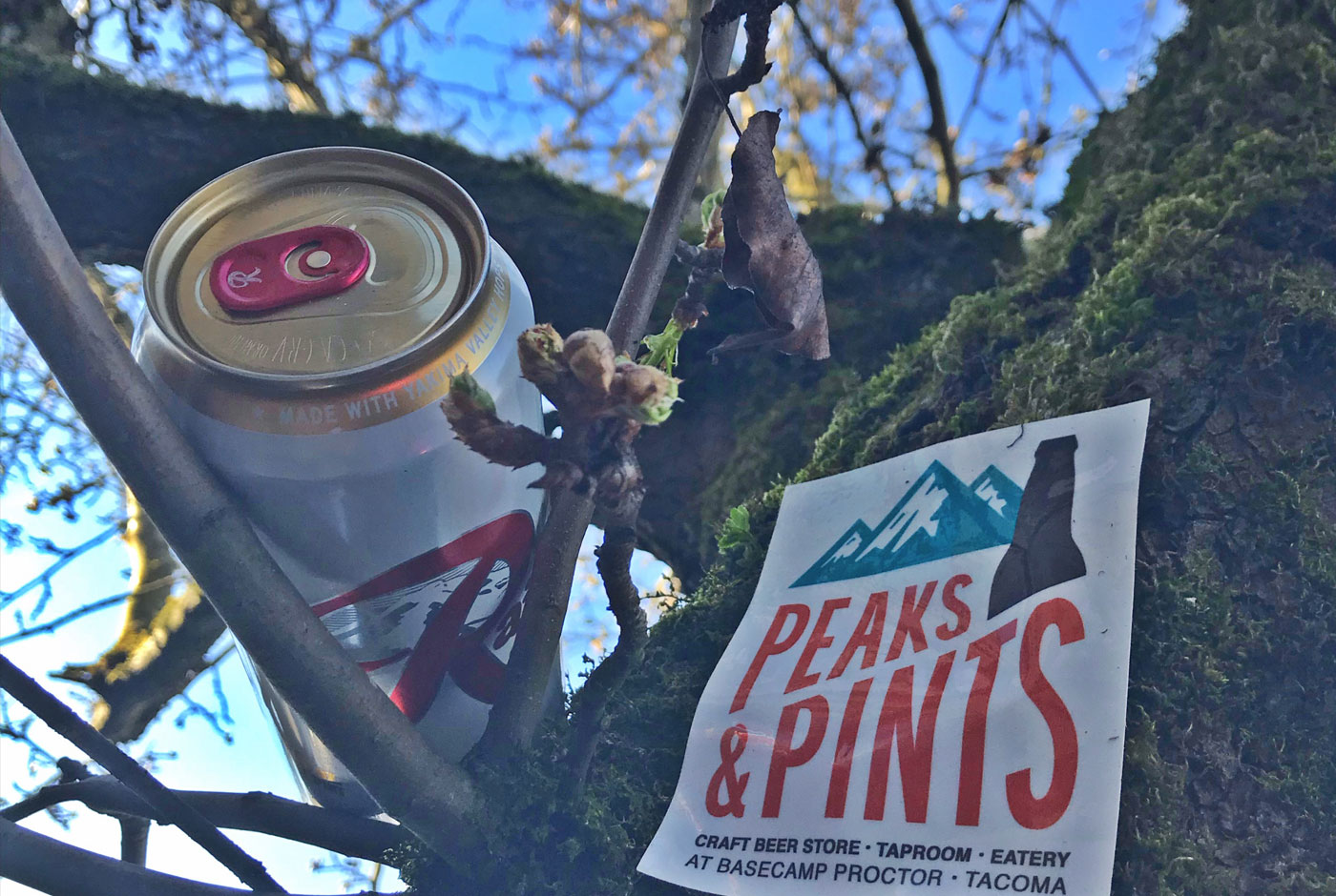 Peaks-and-Pints-Gives-A-Damn-Rainier-Beer-For-Tacoma-Trees-calendar