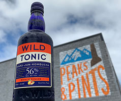 Wild-Tonic-Mango-Ginger-Jun-Kombucha-Tacoma