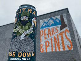 Against-The-Grain-Citra-Ass-Down-Tacoma