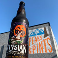 Elysian-Punkuccino-Coffee-Pumpkin-Ale-Tacoma