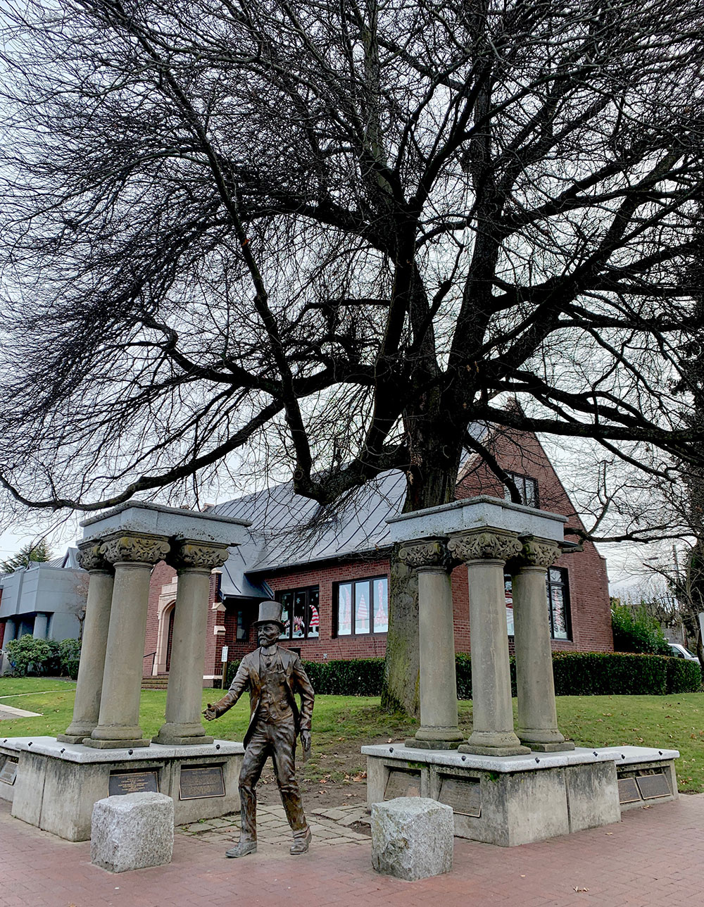 Tree-dimensional-Tacoma-Pin-Oak