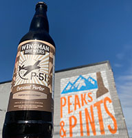 Wingman-P-51-Coconut-Porter-Tacoma