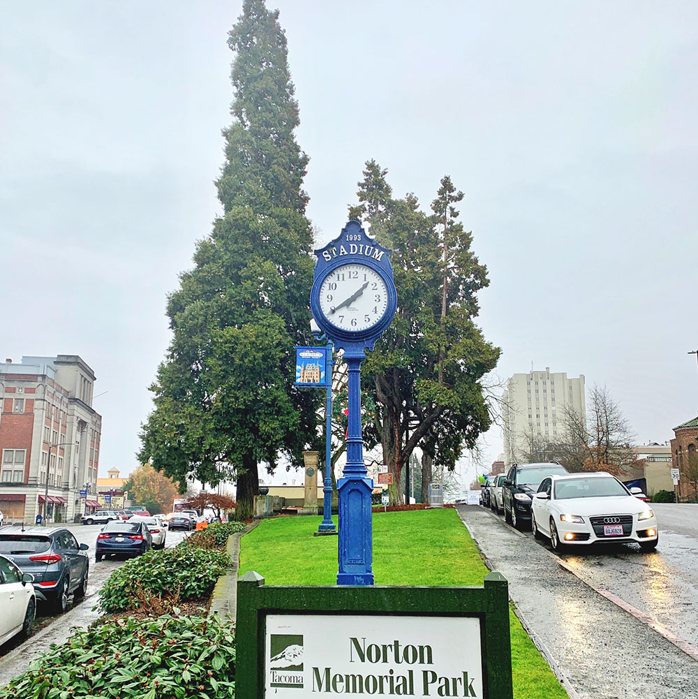 Tree-dimensional-Tacoma-Incense-Cedar