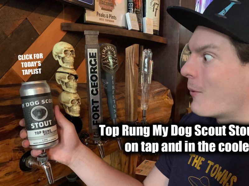 Top-Rung-My-Dog-Scout-Stout-Tacoma