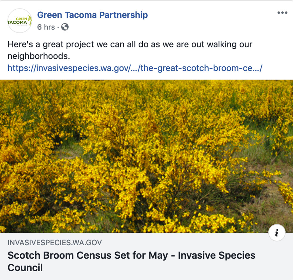 TAcoma-Strong-Green-Tacoma-Partnership