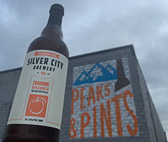 Silver-City-Charming-Disarmer-Wild-Ale-with-Peach-Tacoma